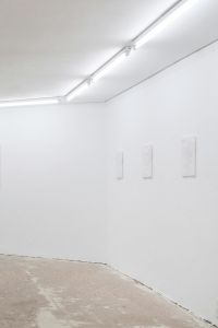 THE BODY IS A PRACTICE